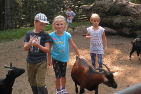 14.9.2016 Zoologická vycházka tříd 2.B a 2.C